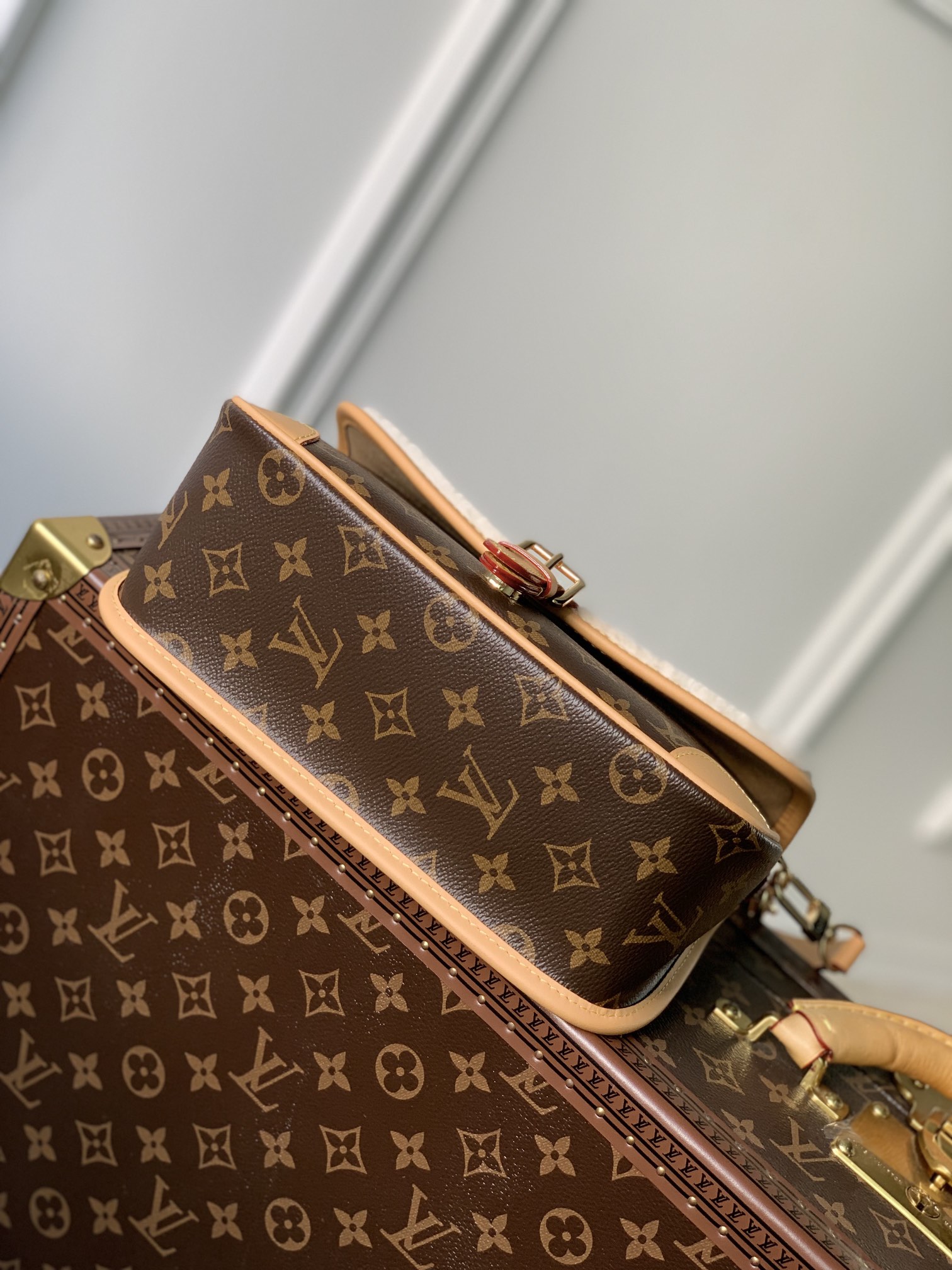 LV Satchel bags